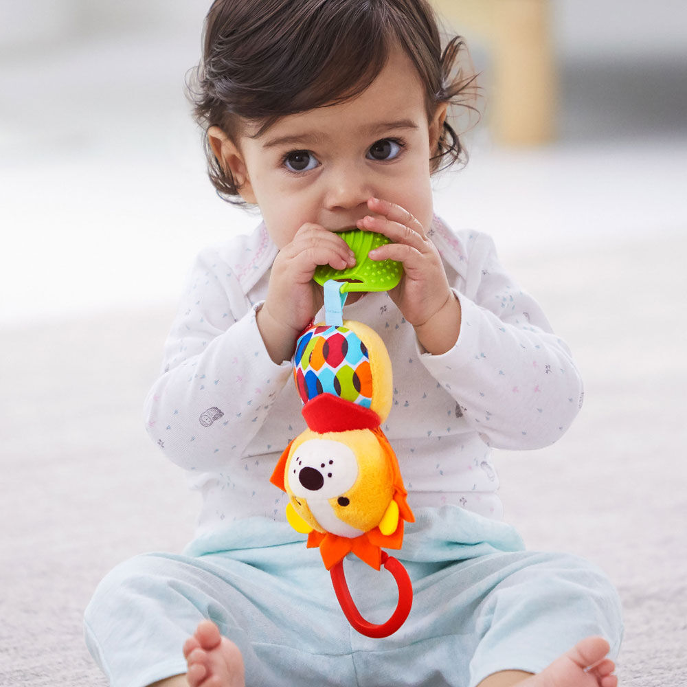 bandana buddies chime & teethe toy