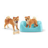 Shiba Inu Mother and Puppy
