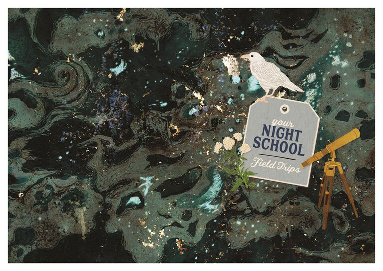 The Night School For Young Mystics - English Edition