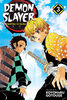 Demon Slayer: Kimetsu No Yaiba, Vol. 3 - English Edition