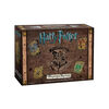Harry Potter Hogwarts Battle - A Cooperative Deck-Building Game