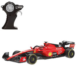 1:24 Formula 1 RC Assortment