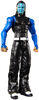 WWE Jeff Hardy Action Figure