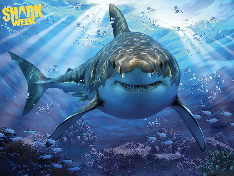 Shark Week - Grand requin blanc - 63 pc Casse-tête Super 3D
