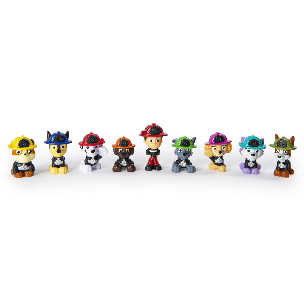 paw patrol blind box