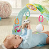 Fisher-Price Ready to Hang Sensory Sloth Gym