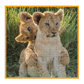 WWF 100 pc. Puzzle - Lion Cubs - Édition anglaise