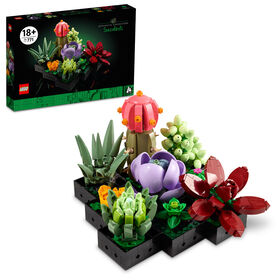 LEGO Botanicals Les succulentes; plantes d'intérieur, cactus, aloe vera, echeveria 10309