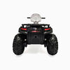Quad ATV 4x4 am&eacute;lior&eacute; KIDSVIP 24 V Titan Edition - Blanc