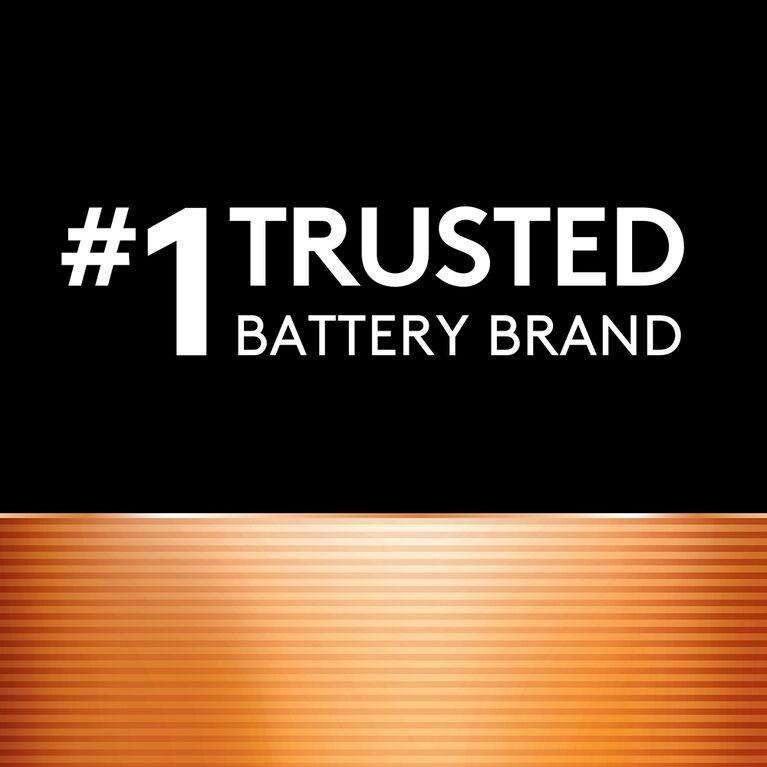 Duracell - Coppertop AAA Alkaline Batteries - 2 Pack