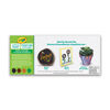 Crayola Multi-Surface Acrylic Paint, Earth Colours