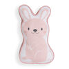 Bunny Plush Throw and Pillow Set