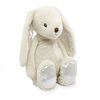 Toys R Us Plush 11 inch Bunny