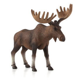 ALEX - Wapiti / Orignal Europ&eacute;en -Tr&egrave;s Grand