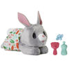 furReal Newborns Bunny Interactive Animatronic Plush Toy: Electronic Pet with Sound Effects, Closing Eyes,Ages 4 and up