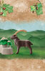 Playmobil - Wiltopia - Ibex
