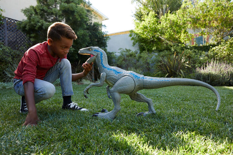 Jurassic World Super Colossal Velociraptor Blue Toys R Us Canada