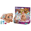 furReal Newborns Bear Interactive Animatronic Plush Toy: Electronic Pet with Sound Effects, Closing Eyes,Ages 4 and up