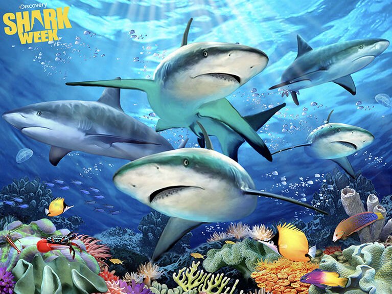 Shark Week - Shark Reef (Récif de requin) - 100 pc Casse-tête Super 3D - Notre exclusivité