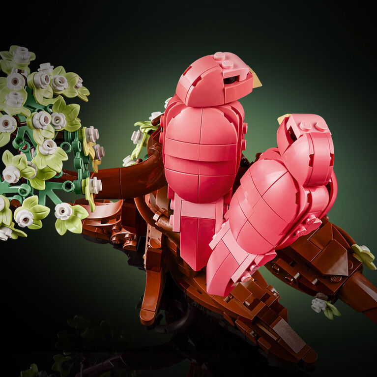 LEGO Ideas Les Oiseaux Amoureux, Ensemble de Construction, D&eacute;coration d'Oiseau, Cadeau de la Saint-Valentin, Ensemble de Loisirs Cr&eacute;atifs pour Adultes 21365