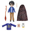 Wizarding World Harry Potter, 8-inch Harry Potter Doll Gift Set with Invisibility Cloak and 5 Doll Accessories