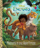 Mystery in the Rain Forest (Disney Encanto) - English Edition