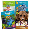 Kindergarten Full Learning System - English Edition