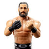 WWE Seth Rollins  Action Figure
