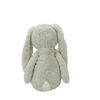 Animal Adventure Little Bunn