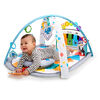 4-in-1 Kickin' Tunes Music and Language Discovery Gym