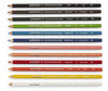 Prismacolor Scholar Coloured Pencils