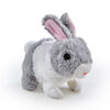 Pitter Patter Pets Teeny Weeny Bunny - R Exclusive (Assortment May Vary)
