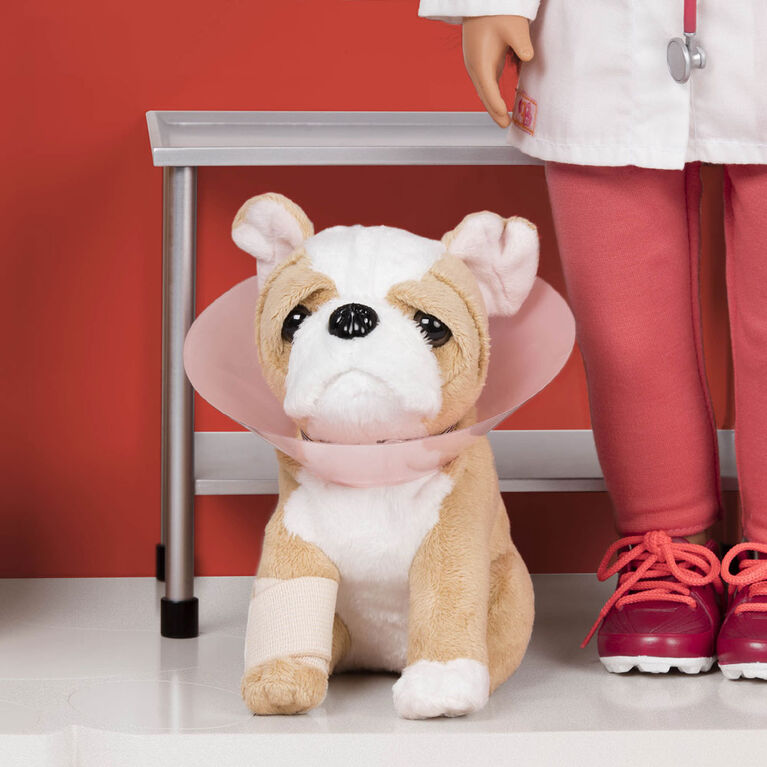 Our Generation, Healthy Paws Vet Clinic for 18-inch Dolls