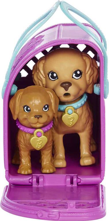 Barbie Nouvelle adoption-Coffret poupée, 2chiots, changement couleur