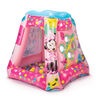 Minnie Mouse 20 Ball Playland