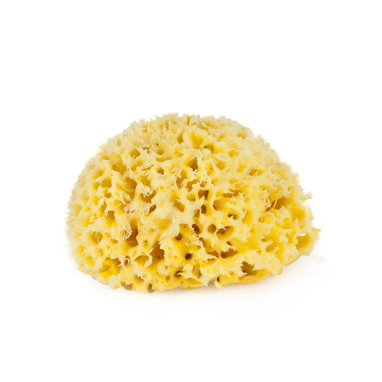 Bellini - Honeycomb Bath Sponge Natural Sea Sponge Medium - 0 months+