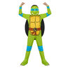 Costume de Léonard Teenage Mutant Ninja Turtles taille petit (4-6)