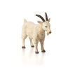 ALEX - Billy Goat - Medium