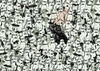 Puzzle Défi Star Wars