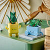LEGO Botanicals Happy Plants Building Toy for Kids, Ages 9+ - Decor for Desk or Shelf - 10349