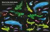Big Sticker Book of Sharks - English Edition