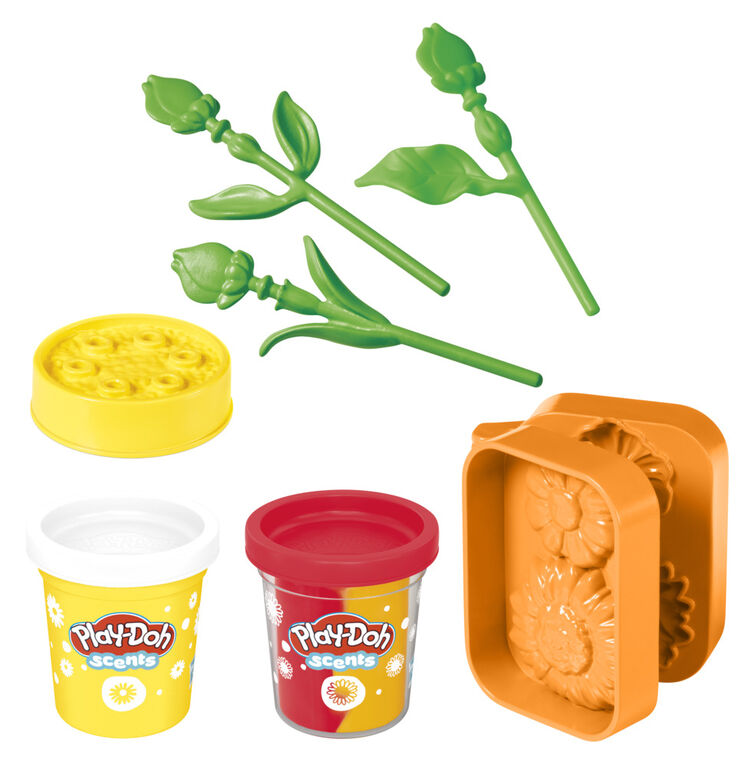 Play-Doh Tournesols et marguerites, coffret de pâte à modeler, loisirs créatifs