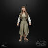 Star Wars The Black Series Princess Leia (Ewok Village)