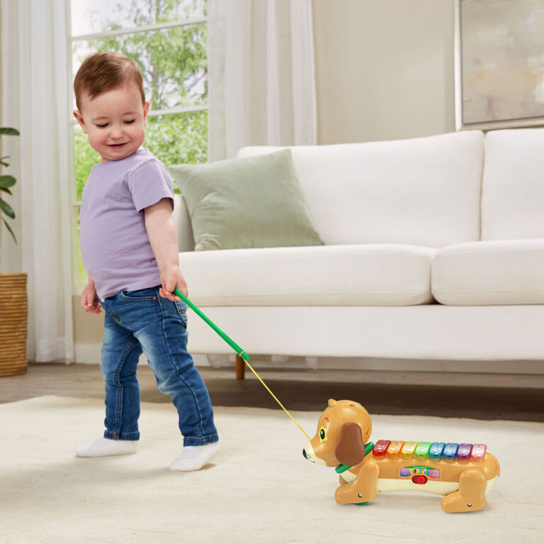 VTech Zoo Jamz Doggy Xylophone - English Edition