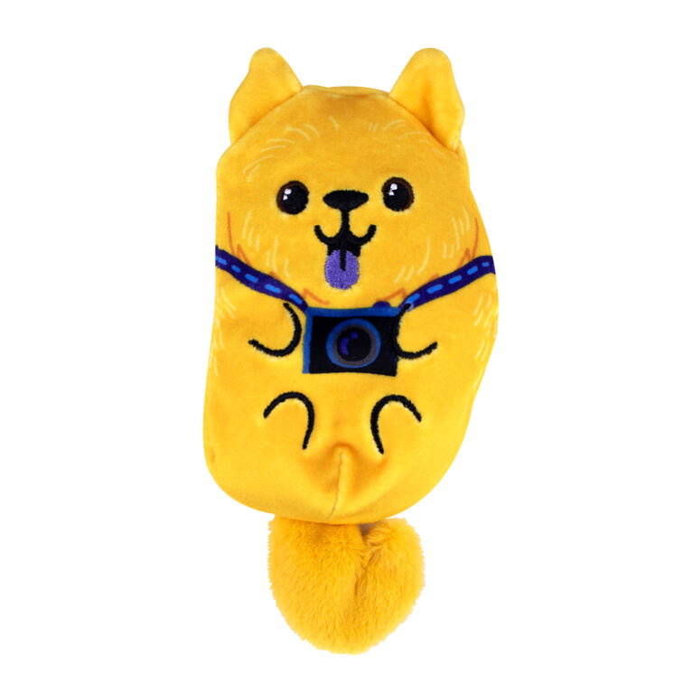 Dogs Vs. Squirls - 4 Inch Plush (One selected at Random for online purchases)