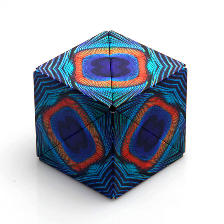 SHASHIBO Shape Shifting Box - Wings
