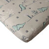 3-Piece Toddler Set - Grey Dino
