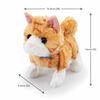 Pitter Patter Pets Pretty Little Kitty - L'assortiment peut varier, Un par achat