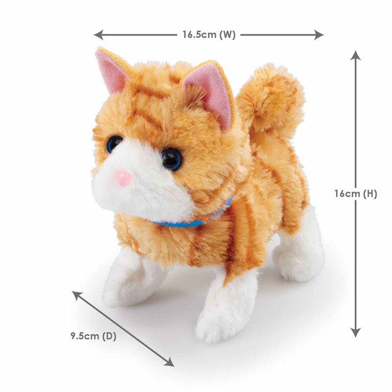 Pitter Patter Pets Pretty Little Kitty - Assortment May Vary, One per purchase - R Exclusive