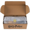 Harry Potter Hogwarts Gryffindor House Scarf Knitting Kit